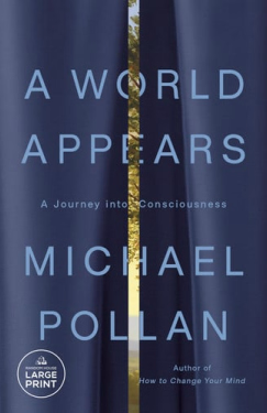 A World Appears: A Journey into Consciousness