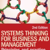 Systems Thinking for Business and Management: Principles and Practice