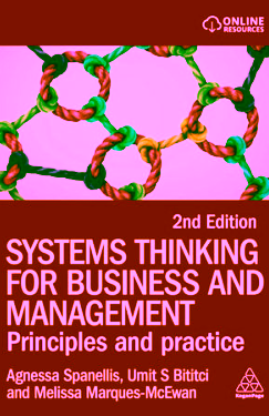 Systems Thinking for Business and Management: Principles and Practice